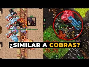 TIBIA / 15 FACTS YOU MAY NOT KNOW
