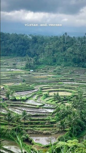 Mesmerizing Bali Rice Fields 🌿 | Scenic Green Terraces in Ubud