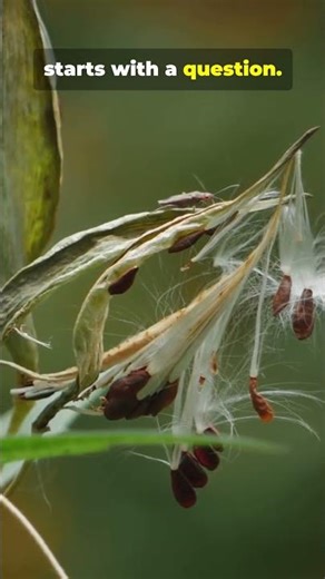 How Scientific Thinking Works