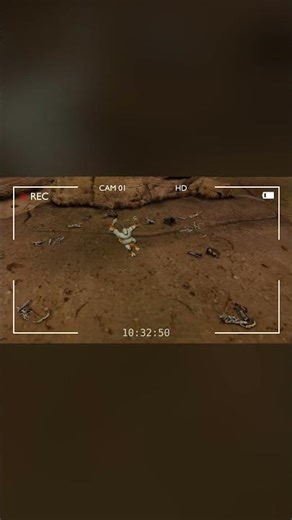 Bring Fantastic Creatures to Life