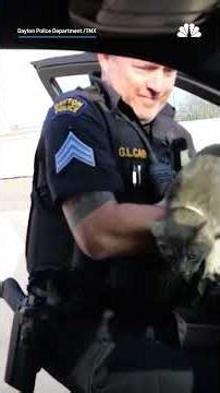 Police officer rescues cat found bleeding on side of highway | NBC New York