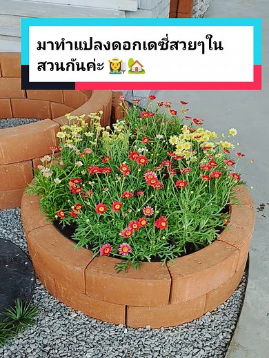 แปลงดอกไม้วงกลม DIY ด้วยอิฐประสาน