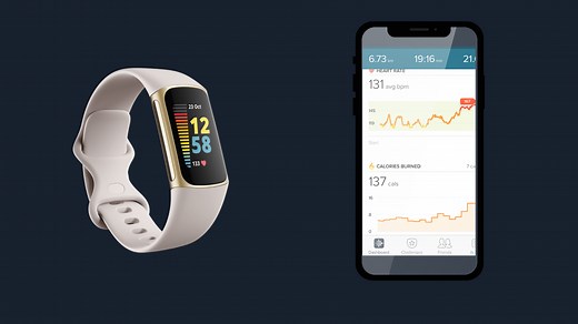 Is Fitbit Calories Burned Accurate? What You Need to Know