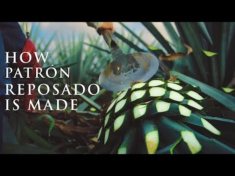 The Making of Patrón Reposado | Patrón Tequila