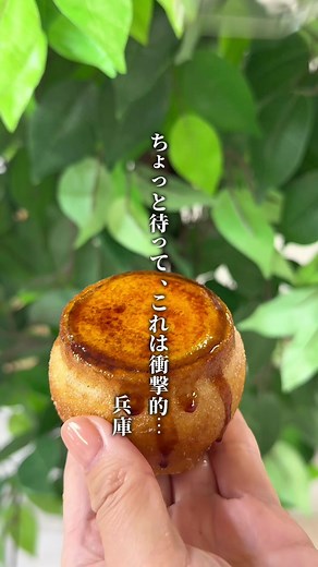 姫路の行列グルメ7選！全国の美味が集結