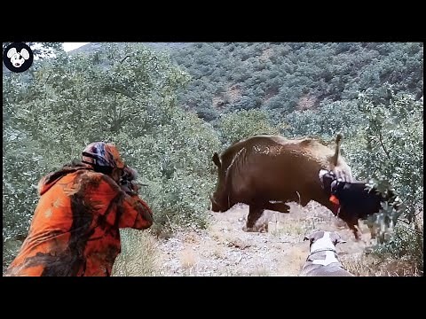 50 Moments Hunter Deal With Millions Of Wild Boar And Invasive Species | Wild Boar Hunting