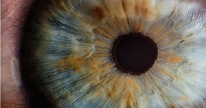 Why it’s only science that can answer all the big questions