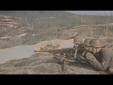 The 4th SS Polizei Panzergrenadier Division as part of the Waffen-SS during World War II #ww2 #tank