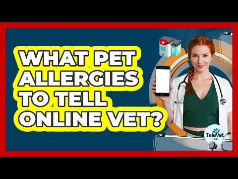 What Pet Allergies To Tell Online Vet?