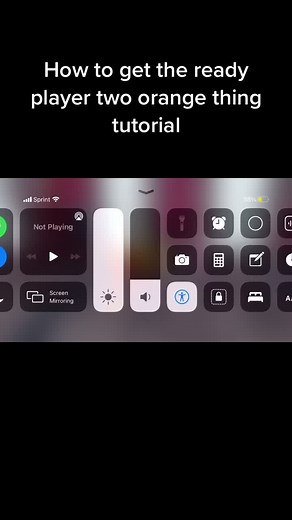 Liz Varela on TikTok