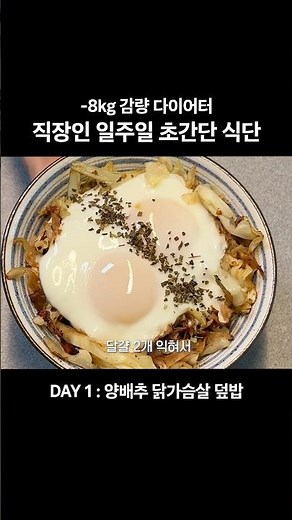 직장인 다이어터 일주일 초간단 식단 모음