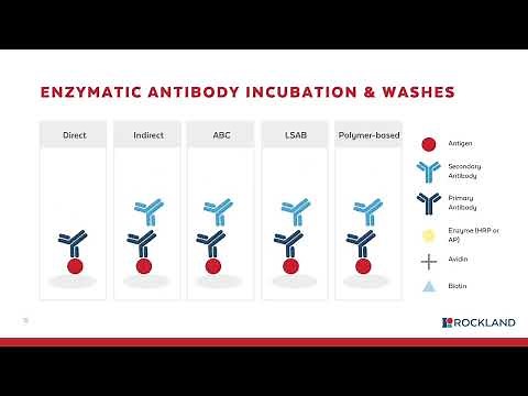 Immunohistochemistry (IHC) workflow [WEBINAR]