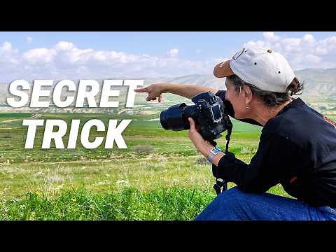 Why Empty Space Makes Your Photos Stronger