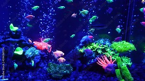 Colorful bright fish glow in neon. Purple fluorescent tropical water paradise exotic background, glowing sparkling ecosystems, bright fantasy decorative neon tanks. Neon fish under water. Stock Video