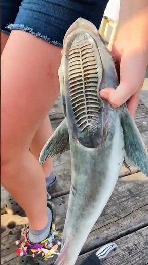 Never Let the Remora Stick to Your Body