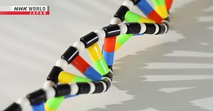 Hope for ALS and Beyond: Nucleic Acid Therapeutics - Medical Frontiers