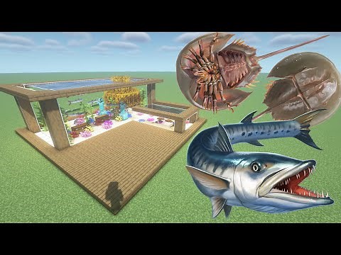 How To Make a Barracuda and Horseshoe Crab Farm in Minecraft PE