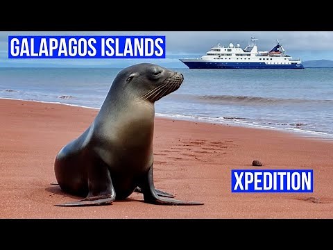 Galapagos Islands Expedition Cruise on Celebrity Xpedition