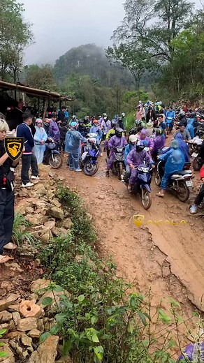 405K views · 1.1K reactions | #akala #thainguyen #xehoi #oto #filmcachnhiet #manhinhandroid #androidbox #phugam #donnoithat #vesinhkhoangmay #nangcapanhsang #dodentangsang #ppf #dandecal 裸李 | Dịch Vụ Đánh Bóng Kính - Hàn Kính - Tẩy Ố Mốc, Kính Ô Tô Tại Thái Nguyên | Facebook