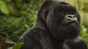 Netflix 2026 documentaries that you should watch