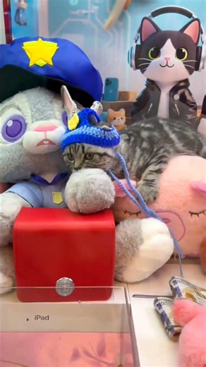 He Opened the Claw Machine and Found a Trapped Cat! #shortvideo