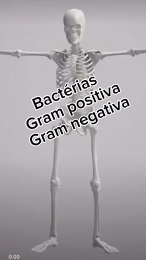 Bacterias Gram Positiva y Gram Negativa