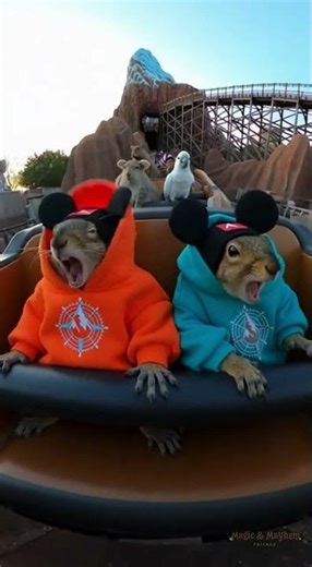 We Challenged the Yeti and Lost #disney #waltdisneyworld