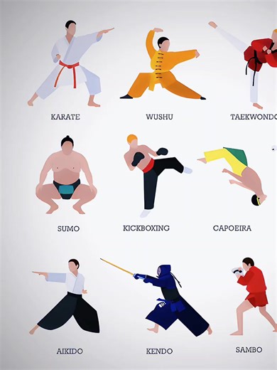 Kudo Highlights: Mastering Martial Arts Techniques