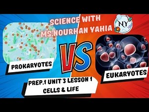 🧬 Cells and Life | Unicellular vs Multicellular | Prokaryotes vs Eukaryotes | Prep 1 Science