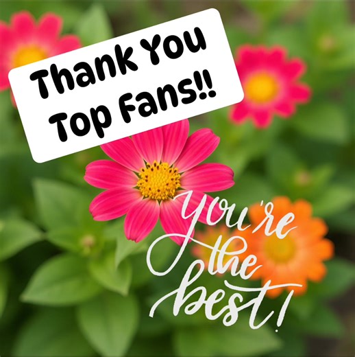 2K views · 22 reactions | Big shout out to my newest top fans! ...