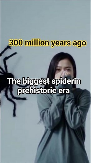 Megachne – The Largest Spider in History🥵