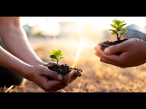 What is Sustainable ESG Investing? | Grow Your Money & Make an Impact 🌱