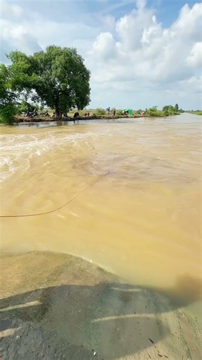 Amazing Fish Catch Under Clear Stream Water 🐟😲