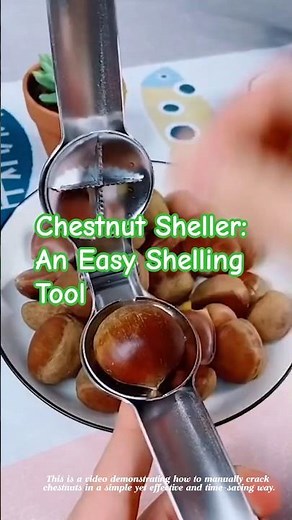 CHESTNUT SHELLER: An Easy Shelling Tool #agriculture #satisfying #farmingtips #gardeningtips #diy