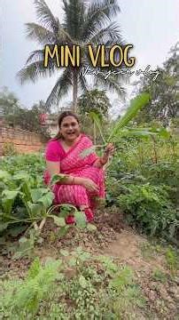 MINI VLOG✨ #architamohanty #minivlog