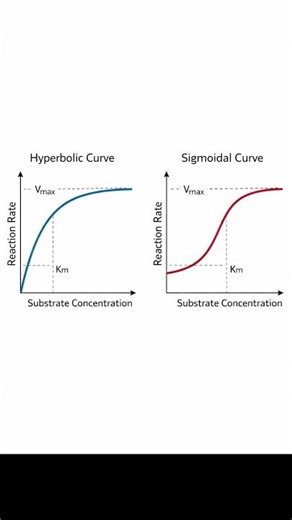 Hyperbolic Curve Vs Sigmoidal Curve (Enzyme Kinetics) #imat #imat2026 #imatbiology #medicineinitaly