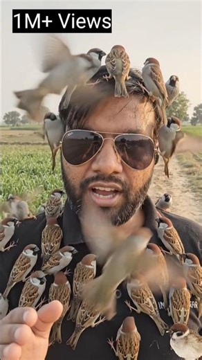 🐦Save Sparrow Bird's #aiprompts #aivideo #savebirds