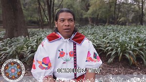 39K views · 1.4K reactions | Nuestros Colores | Huichol Musical | Facebook