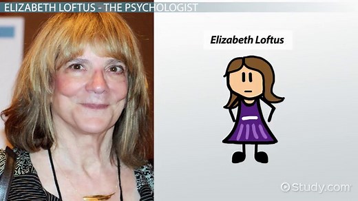 Elizabeth Loftus | Theory & Contribution to Psychology