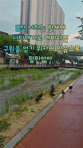 원하고 바라고 기도합니다. 벧전1장 5~7절