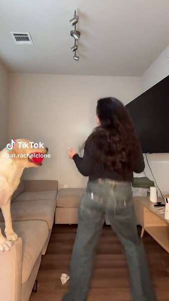 Didn’t realize I knocked her toy