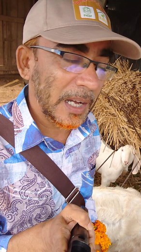 Goat Rearing in Nepal, Profitable Business. #followersreelsfypシ゚viralシfypシ゚viralシal #foryoupageシ #foryoupagereels | Zia Rahman