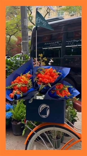 10K views · 1.1K reactions | April showers bring Macy’s Flower(s) Show!! We partnered up with The Bouqs Company & Macy's for the #MaycsFlowerShow to bring our Dutch heritage to life through stunning orange tulips. We loved getting to surprise and delight some of our friends in New York City! Will we see you for the opening tomorrow? 李 #HollandAmerica #HALxMacys | Holland America Line | Facebook