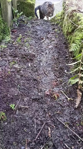 Princess Persia (@princess.persia83)’s videos with original soundPrincess Persia