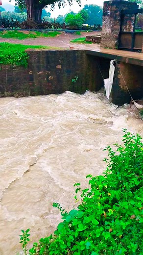 #satishkumarlifecoach Happy Rain Day | Satish Kumar