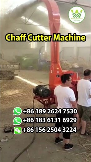 Big Chaff Cutter Machine Made by China | Western Agriculture Technology