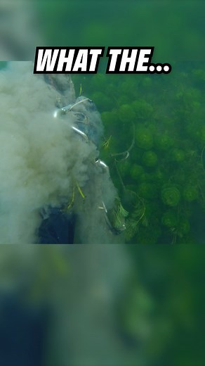 This Find Was Sneaky | Man River