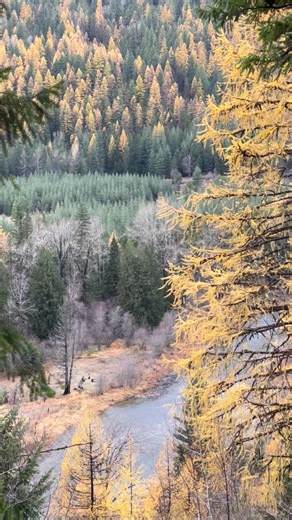 Falling in love with Coeur d’Alene in October 🍁 For more information on these events around Coeur d’Alene this month, comment ‘October’ and we will send you a link! ⁠ ⁠ Did we miss anything? 💭 | Visit Coeur d'Alene