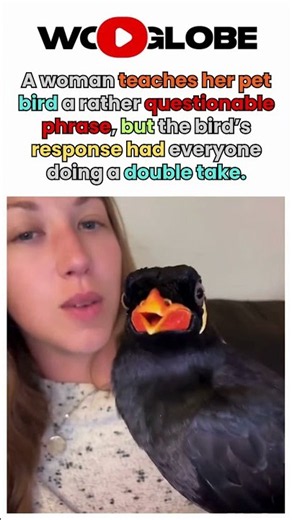 Funny pet bird clearly says a cheeky phrase during a conversation with his owner