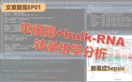 单细胞 bulk-RNA转录组学分析 EP01